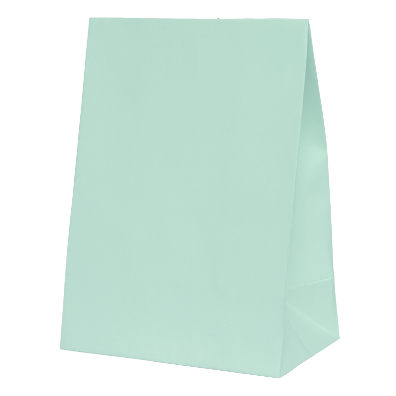 Mint Green Paper Party Favour Bag 10pk