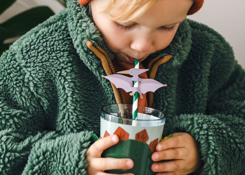 Pterodactyl Dinosaur Straws 6pk