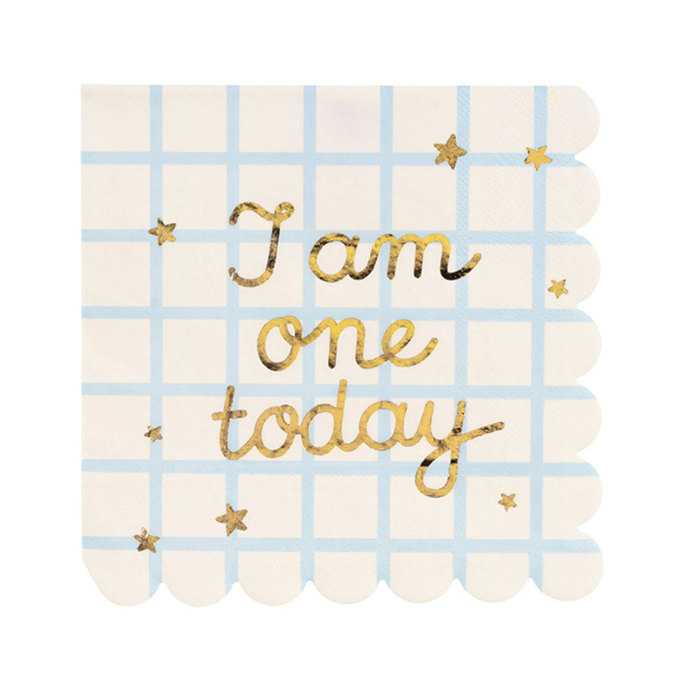 Teddy Bear One Today Napkins 12pk