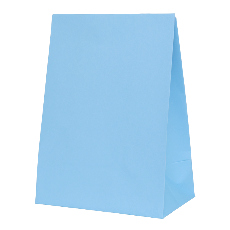 Pastel Blue Paper Party Favour Bag 10pk
