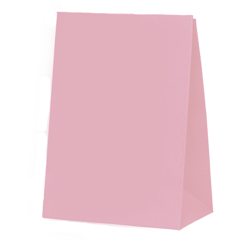 Pastel Pink Paper Party Favour Bag 10pk