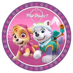 Paw Patrol Girls Edible Icing Cake Image