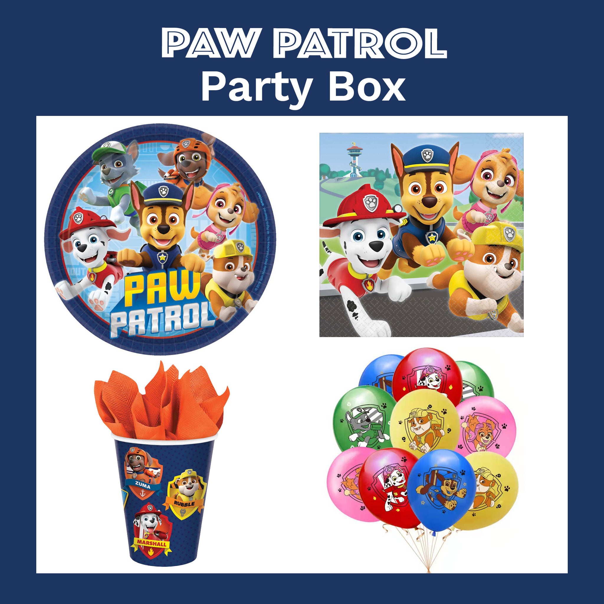 Paw Patrol Party Box
