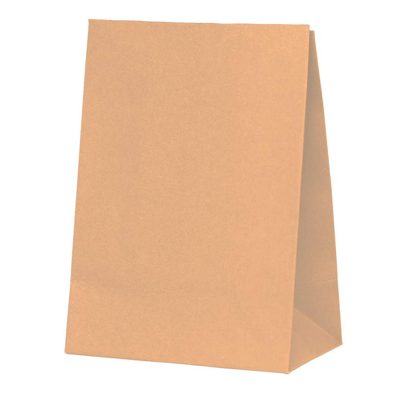 Peach Paper Party Favour Bag 10pk