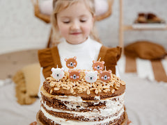 Bear Birthday Candles 6pk