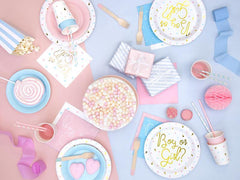 Boy or Girl Napkins 20pk