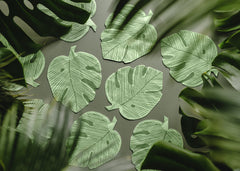 Monstera Leaf Napkins 12pk