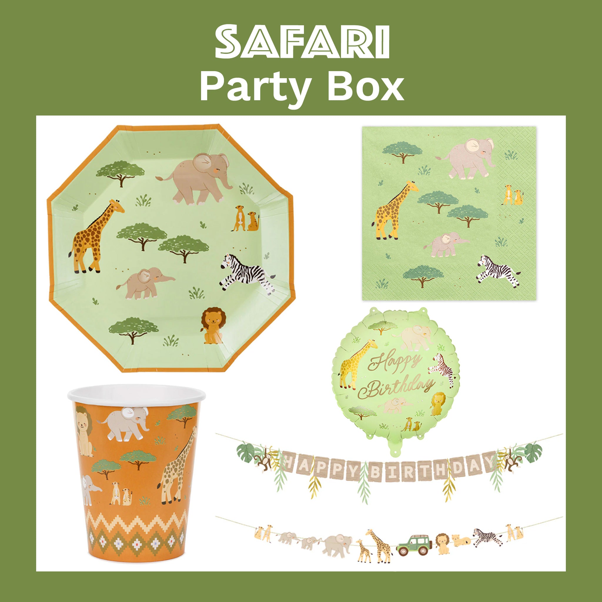 Safari Party Box