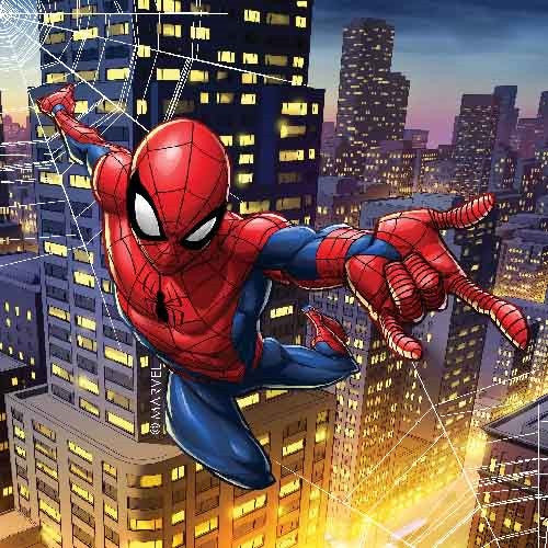 Spider-Man Napkins 20pk
