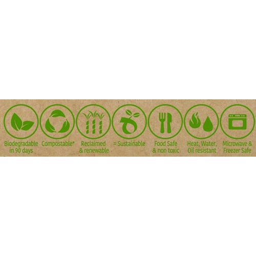 White Sugarcane Large Plates 10pk