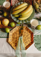 Safari Spot Plates 6pk