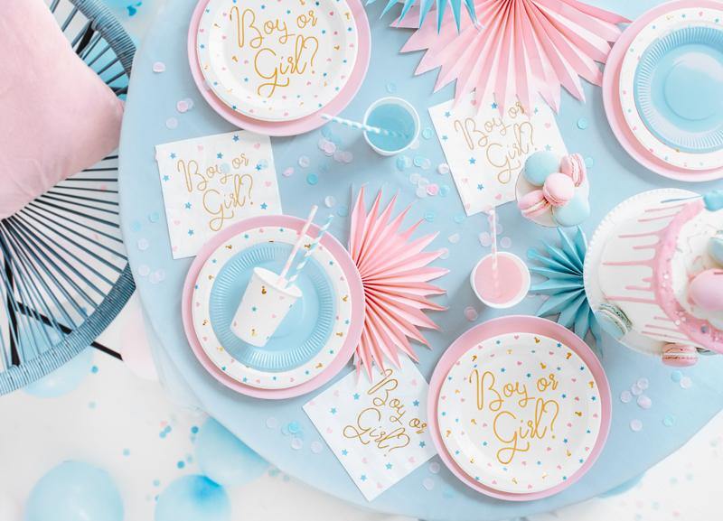 Boy or Girl Plates 6pk