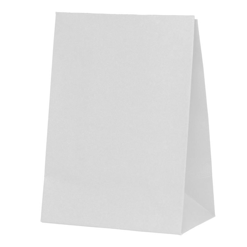 White Paper Party Favour Bag 10pk