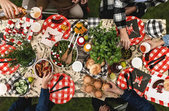 Red Gingham Jumbo Plates 6pk