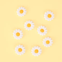 Daisy Icing Decorations 8pk