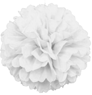 White Pom Pom Puff Ball