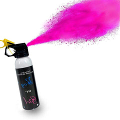 Gender Reveal Fire Extinguisher - Girl