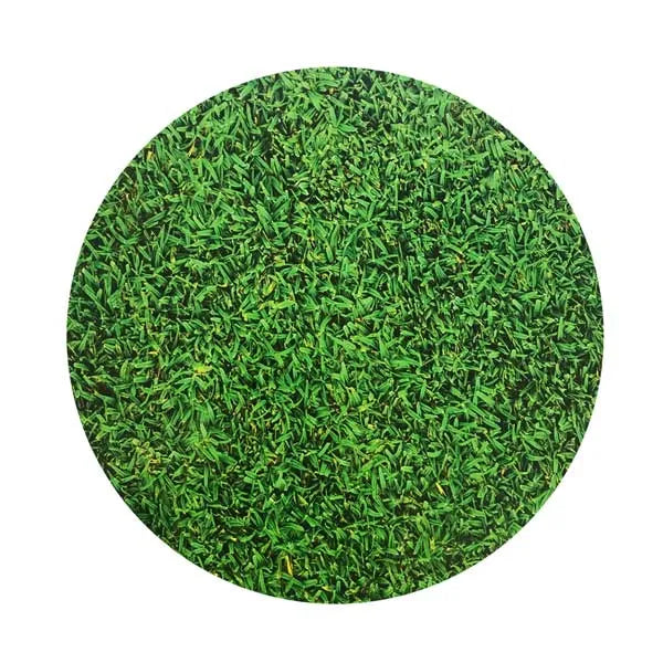 Grass Round Cake Board 25cm/10in