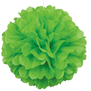 Green Pom Pom Puff Ball
