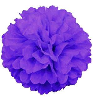 Purple Pom Pom Puff Ball