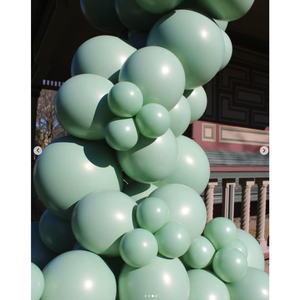 Large 60cm Meadow Balloons