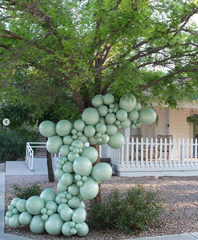 Jumbo 90cm Meadow Balloons