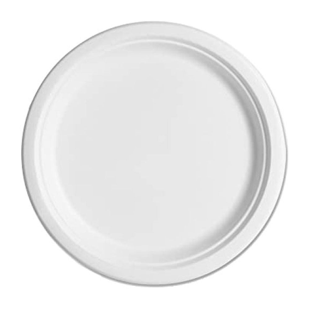 White Sugarcane Plates 10pk