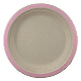 Sugarcane Large Plates | Light Pink 10pk - The Party Room
