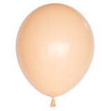 Blush Balloons
