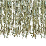 Botanical Leaf Ribbon Backdrop