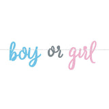 Gender Reveal Banner