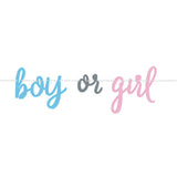 Gender Reveal Banner - The Party Room