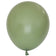 products/Eucalyptus-Balloon-NZ-The-Party-Room_3.jpg