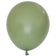products/Eucalyptus-Balloon-NZ-The-Party-Room.jpg