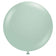 products/Jumbo-Empower-Mint-Balloons-The-Party-Room-NZ.jpg