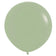 products/Jumbo-Eucalyptus-Balloon-NZ-The-Party-Room.jpg