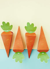 Carrot Treat Boxes 6pk - The Party Room