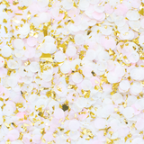 Confetti | Princess - The Party Room