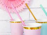 Light Pink Straws 10pk - The Party Room