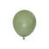 products/Small-Eucalyptus-Balloon-NZ-The-Party-Room.jpg