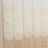 Neutral Ombre Tissue Paper Disc Party Backdrop - The Party Room