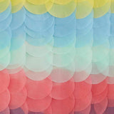 Rainbow Tissue Paper Disc Party Backdrop - The Party Room