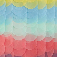 Rainbow Tissue Paper Disc Party Backdrop - The Party Room